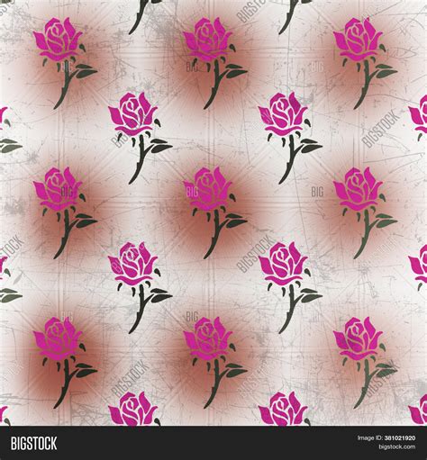 Pink Rose Distressed Image And Photo Free Trial Bigstock