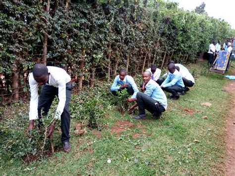 Masaba South Scouts Of Kisii In Kenya Tree Planting World Scouting