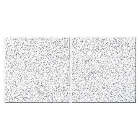 Armstrong Ceilings Common 48 In X 24 In Actual 4775 In X 2375 In