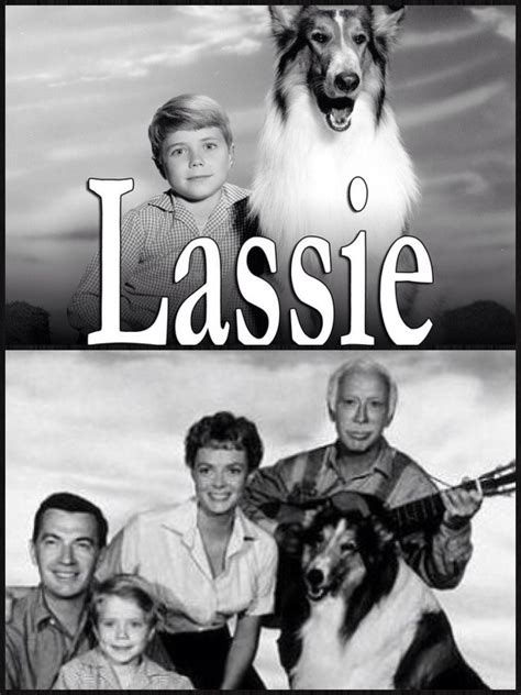 Lassie 1954 1973 Old Tv Shows Movies And Tv Shows Favorite Tv Shows