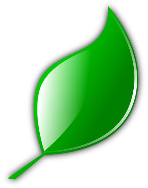 Leaf Leave Icon Png 13 Pizzeria Bellissimo