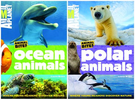 Must Have Nonfiction Animal Books For Kids Where