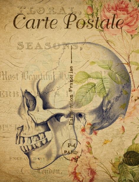 Skull Vintage Floral Postcard Free Stock Photo Public Domain Pictures