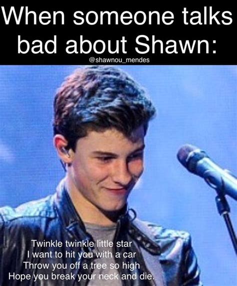 Pin By Elizabeth On Shawn Mendes Shawn Mendes Memes Shawn Mendes