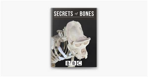‎bbc Secrets Of Bones On Apple Books