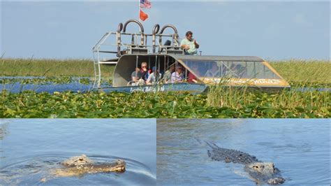 Everglades Alligators Airboat Ride Holiday Park Hd Youtube
