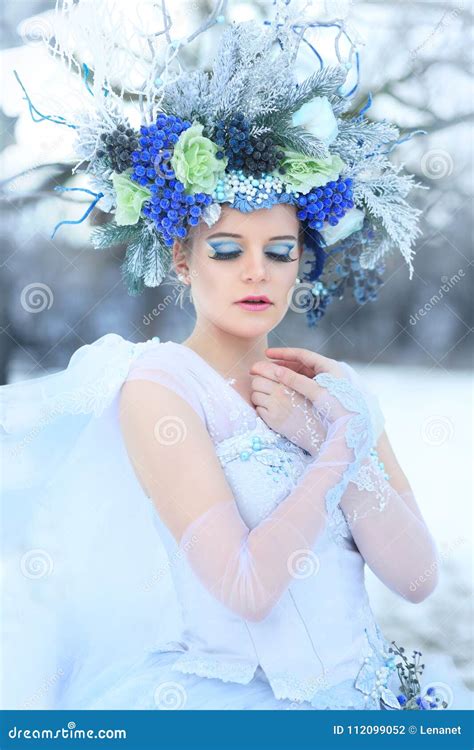 Winter Fairy Stock Photo Image Of Fairytale Luxury 112099052
