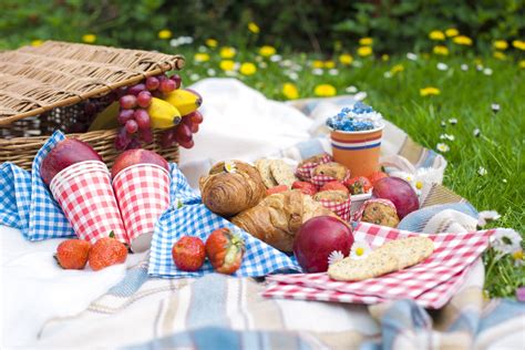 Picnic Like A Pro Tips And Tricks For Picnic Success Olivers Markets
