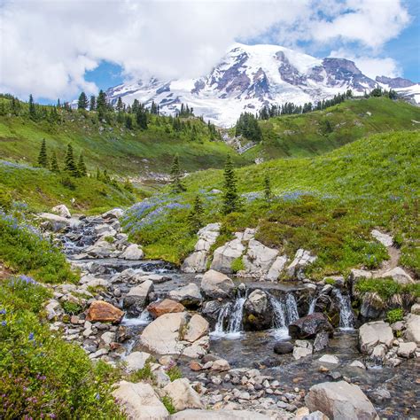 7 Best Hikes In Mount Rainier National Park Rainier National Park
