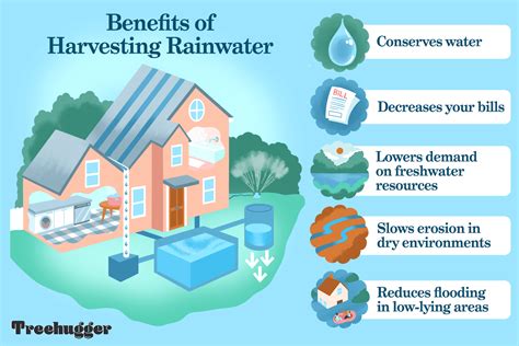 Rainwater Harvesting Benefits Worth Knowing Interior Design Ideas My