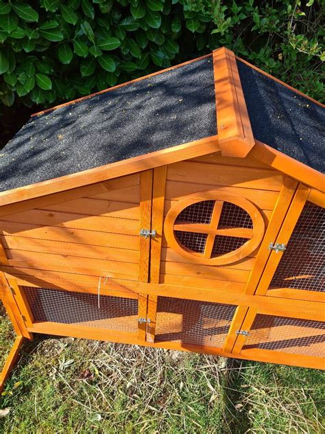 Foxglove Rabbit Guinea Pigs Hutch In Rh Crawley F R Zum