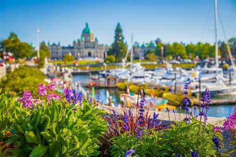 19 Hidden And Unusual Things To Do In Victoria Bc 2023