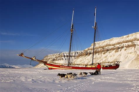 Frozen Pirate Ship In Svalbard Where The Polar Bears Outnumber The