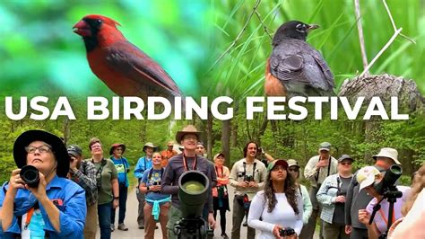 The Birders Show At Indiana Dunes Birding Festival Cheep Youtube
