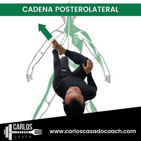 Cómo Estirar Cadenas Musculares Carlos Casado Coach