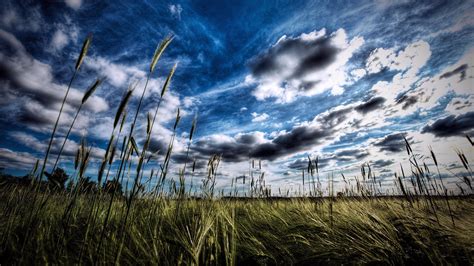 Standard 4:3 5:4 3:2 fullscreen uxga xga svga qsxga sxga dvga hvga hqvga. Free download Sky wallpapers 1920x1080 Full HD 1080p ...