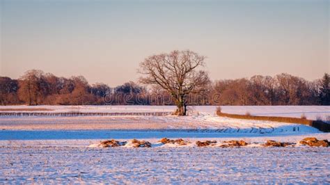 Dutch Winter Landscape Near The Village Of Delden The Netherlands Stock