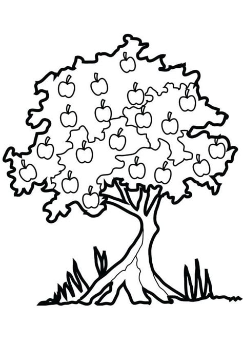 Dibujos de Árbol de Manzana para Colorear para Colorear Pintar e Imprimir Dibujos Online Com