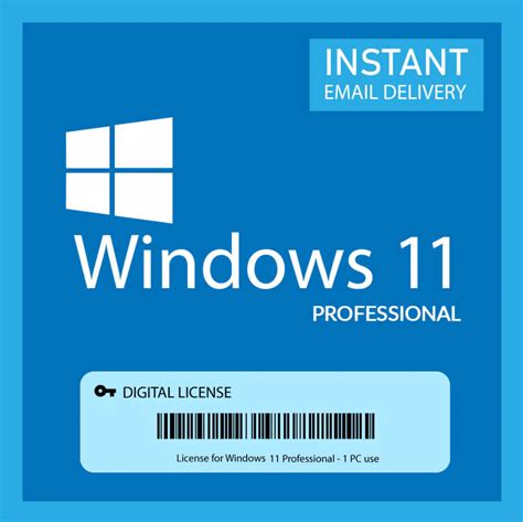Windows 11 Professional License Activation Product Key