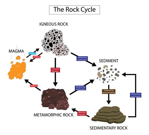 A Beginners Guide To Types Of Rock Igneous Sedimentary And