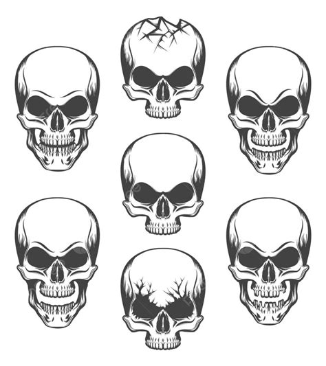 Skull Engraving Vector Hd Png Images Human Skulls Set Drawn In