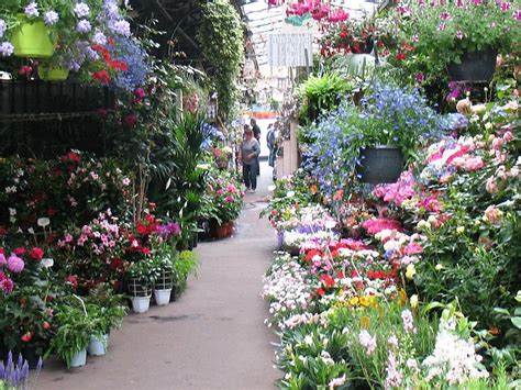 Paris Flower Market Photograph By Louise Adams Fine Art America