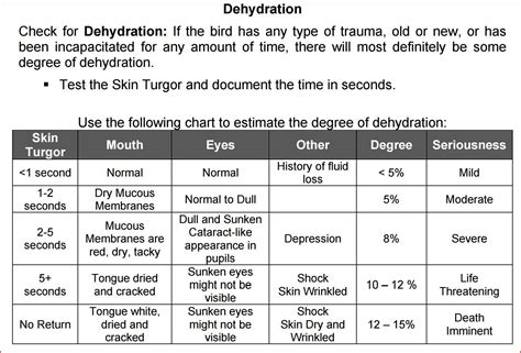 The Best 27 Skin Turgor Dehydration Casesprintquotejibril
