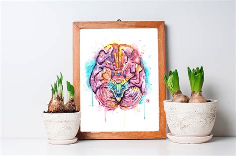 Anatomy Art Human Brain Painting By Lisa Whitehouse Whitehouse Art