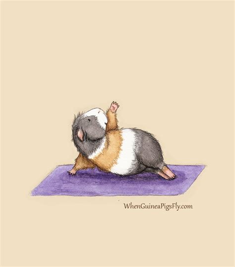 Guinea Pig Yoga Side Plank Yoguineas Collection Cute Etsy