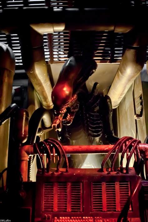 Alien encounter extra terrorestrial filmed in night vision, walt disney world, orlando, florida. The Alien on the Great Movie Ride in Hollywood Studios at ...