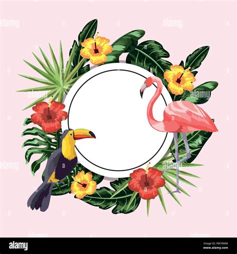 circle sticker with toucan and flamingo in the flowers and leaves stock vector image and art alamy