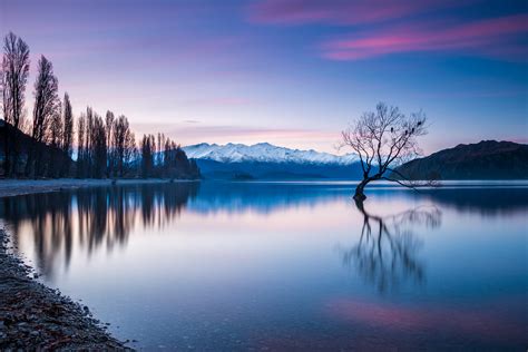 That Wanaka Tree At Sunset The Lonely Willow Tree Of Lake Flickr