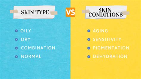 Skin Types Vs Skin Conditions The Difference Beauty Barn Blog