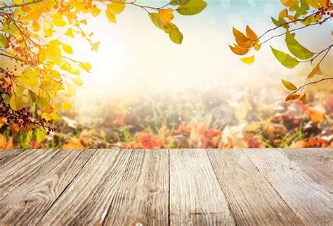 Lfeey 5x3ft Fall Scenery Background Rustic Autumn Leaves
