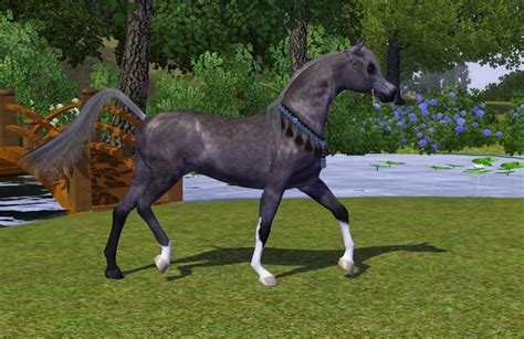 Sims 3 Pets Horses Sims 4 Pets The Sims 3 Pets Sims