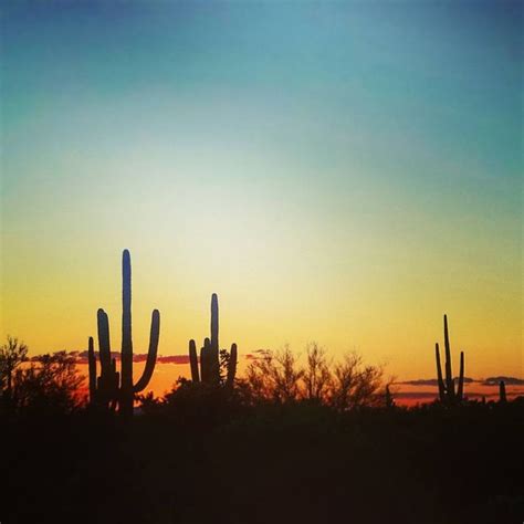 Sunset By Tucson Arizona Arizona Seattle Skyline Sunset