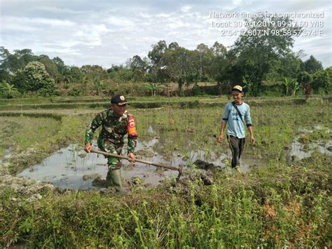 Ianya merupakan salah satu sektor penting dalam pembangunan harta tanah di malaysia pada masa kini. Dengan Peralatan Cangkul, Serda Tolhas Bantu Petani Olah ...