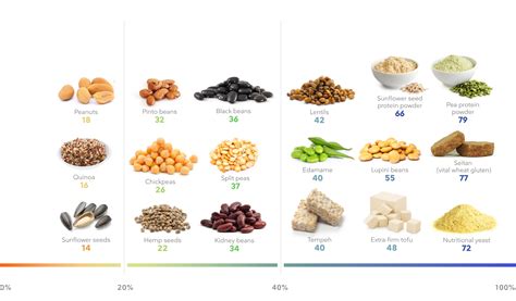 Vegan Protein Sources List