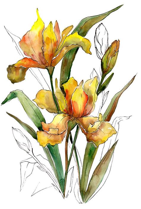 Wildflower Bouquet Drawing Free Download On Clipartmag