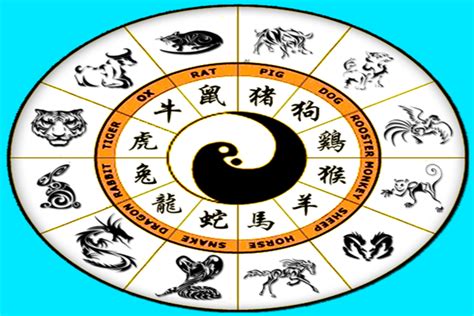 Chinese Zodiac Time - Hours a Day | KnowInsiders