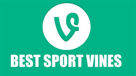 Best Sports Vines Compilation Youtube