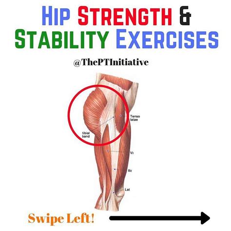 Hip Strength And Control For Hip Impingement And Fai 🔑two