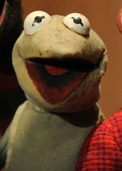 Original Kermit Donated To Smithsonian All Photos