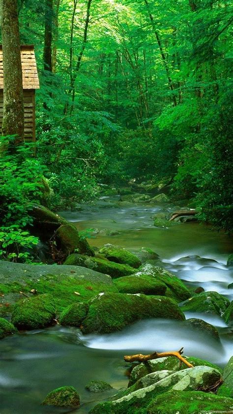 Beautiful Greenery Nature Wallpapers Download Mobcup