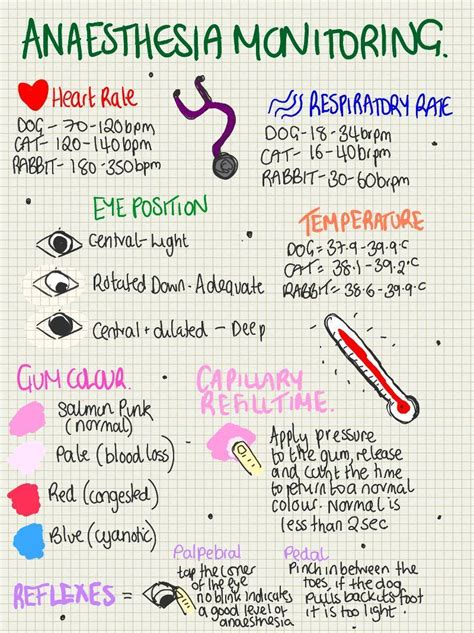 Printable Veterinary Anesthesia Monitoring Sheet