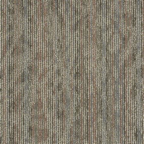 Shaw Carpet Amaze Avail At West Coast Flooring In San Marcos Where To