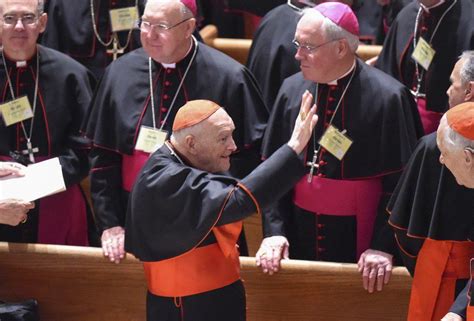 Cardinal Mccarrick Sex Scandal Shows The Dangers Of Homophobia In The