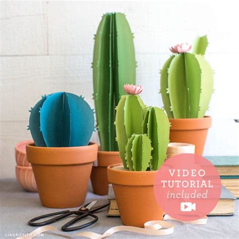 Video Tutorial New Frosted Paper Mini Cacti Kit Paper