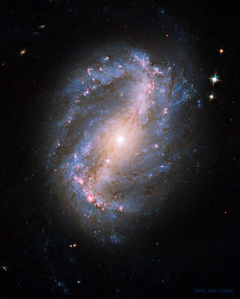 Barred Spiral Galaxy Ngc 6217 Concellation