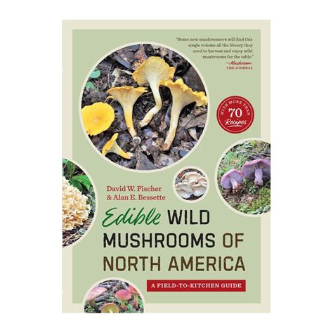 Edible Wild Mushrooms Of North America A Field To Kitchen Guide
